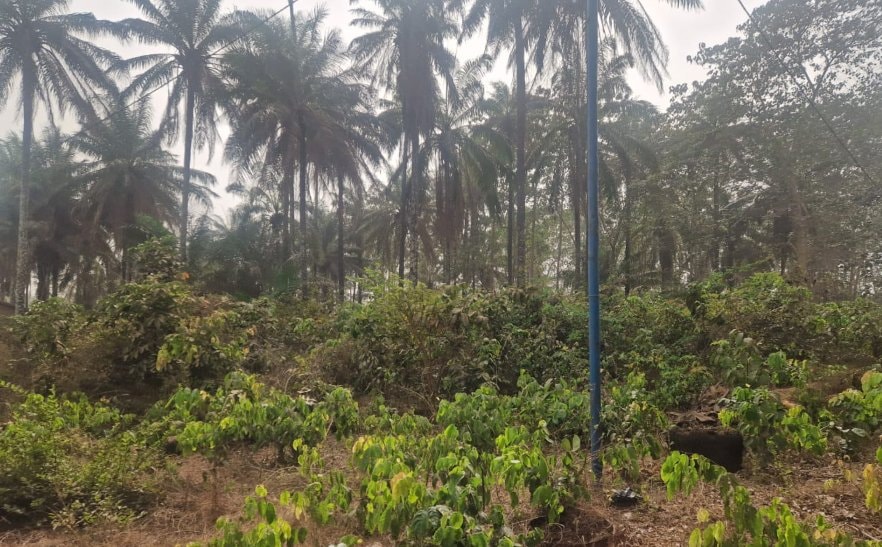 EIES et PAR de neuf centres de formation technique et professionnelle au Togo